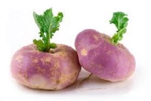 Fresh Turnip