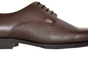 ACFS-8007 Allen Cooper Genuine Leather Formal Shoes