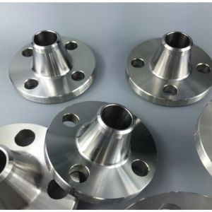 SS Forged Flange