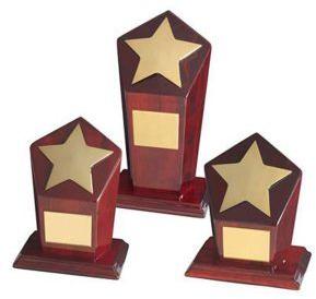 Gold Plated Star Wood Trophy