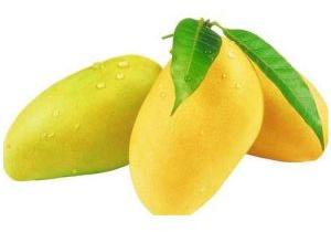 Fresh Mango