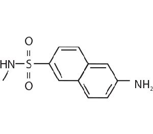 N-Methyl Sulfonamide
