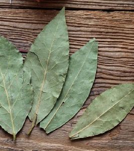 Dried Bay Leaves