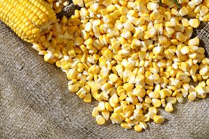 Frozen Sweet Corn