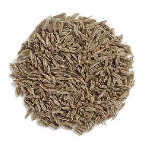 Cumin Seeds