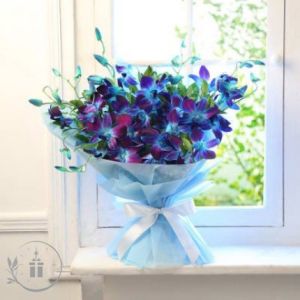 Blue Orchid Flower