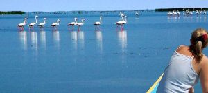 Exotic Tour Package of Odisha (Orissa)