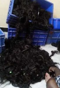 Raw Human Hair