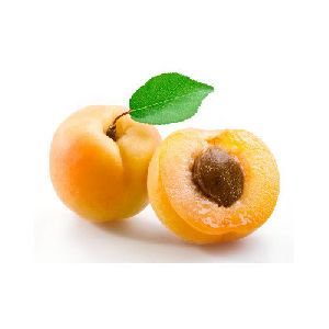 Fresh Apricot