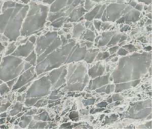 Grey Venezuela Marble Slab