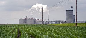 Fuel Ethanol and Bioethanol Plant