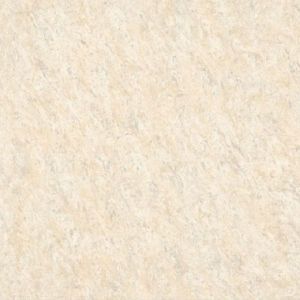 8018 Nano Soluble Salt Vitrified Tiles