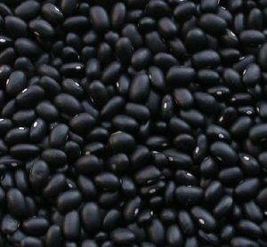 Black Kidney Beans