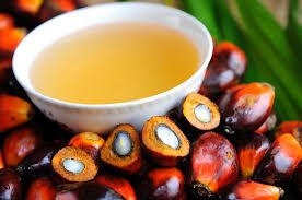 Rbd Palm Oil