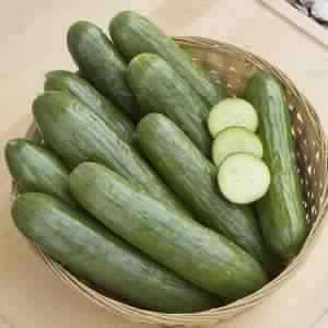 Fresh Cucumber