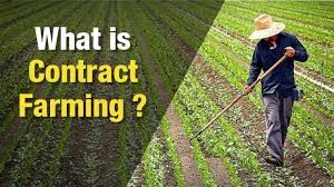 Contract Farming Services