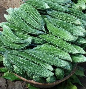 Karela