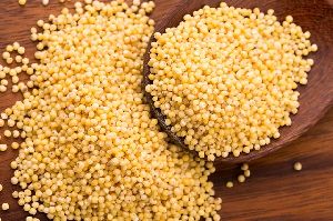 Organic Proso Millet