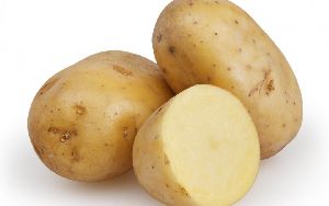 Potato