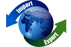 Import Export Business Consultancy Services