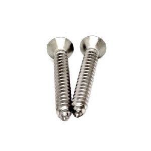 Steel Screw