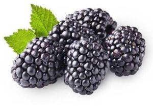 fresh blackberry