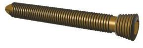 locking screw