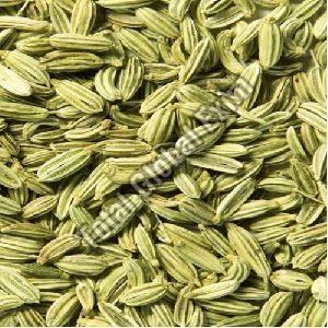 Fennel Seeds