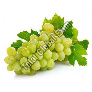 Fresh Green Grapes