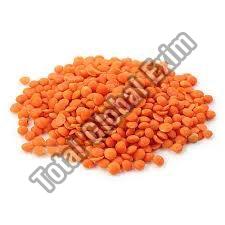 Red Masoor Dal