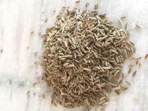 Cumin Seed