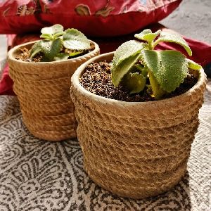 Rope Ceramic Planter