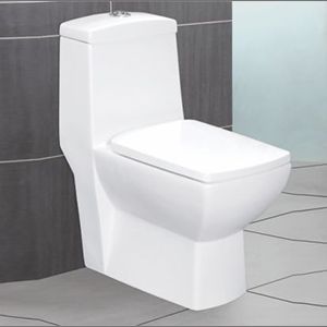 RDS-22011 Water Closet