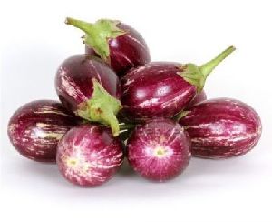 Fresh Brinjal