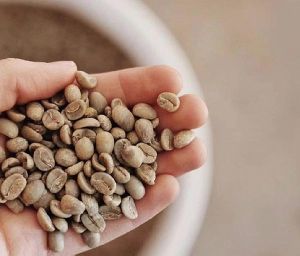 Robusta Coffee Beans