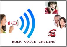 bulk voice calls services