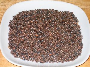 brown masoor dal