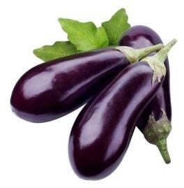 Fresh Brinjal