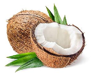 Fresh Coconut