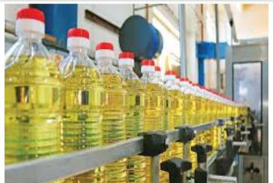 Sunflower Oil