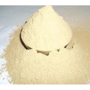 Giloy Powder