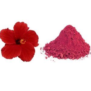 Hibiscus Powder