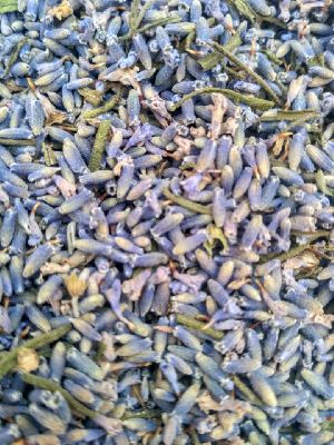 Dried Lavender Flowers