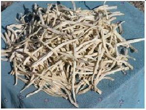 Dried Safed Musli Roots