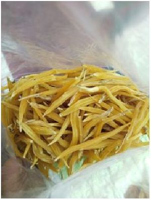 Dried Shatavari Roots