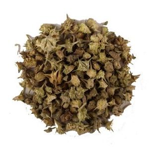 Gokhru Seeds