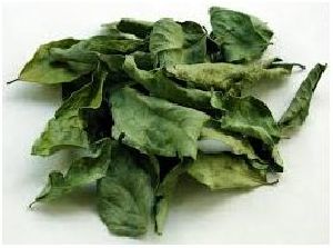 Dried Curry Leaves