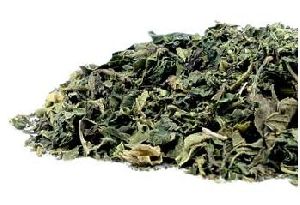 Dried Nettle Leaves