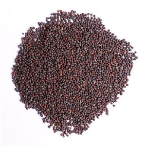 Black Mustard Seeds