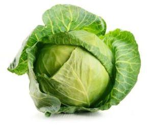 Fresh Organic Cabbage